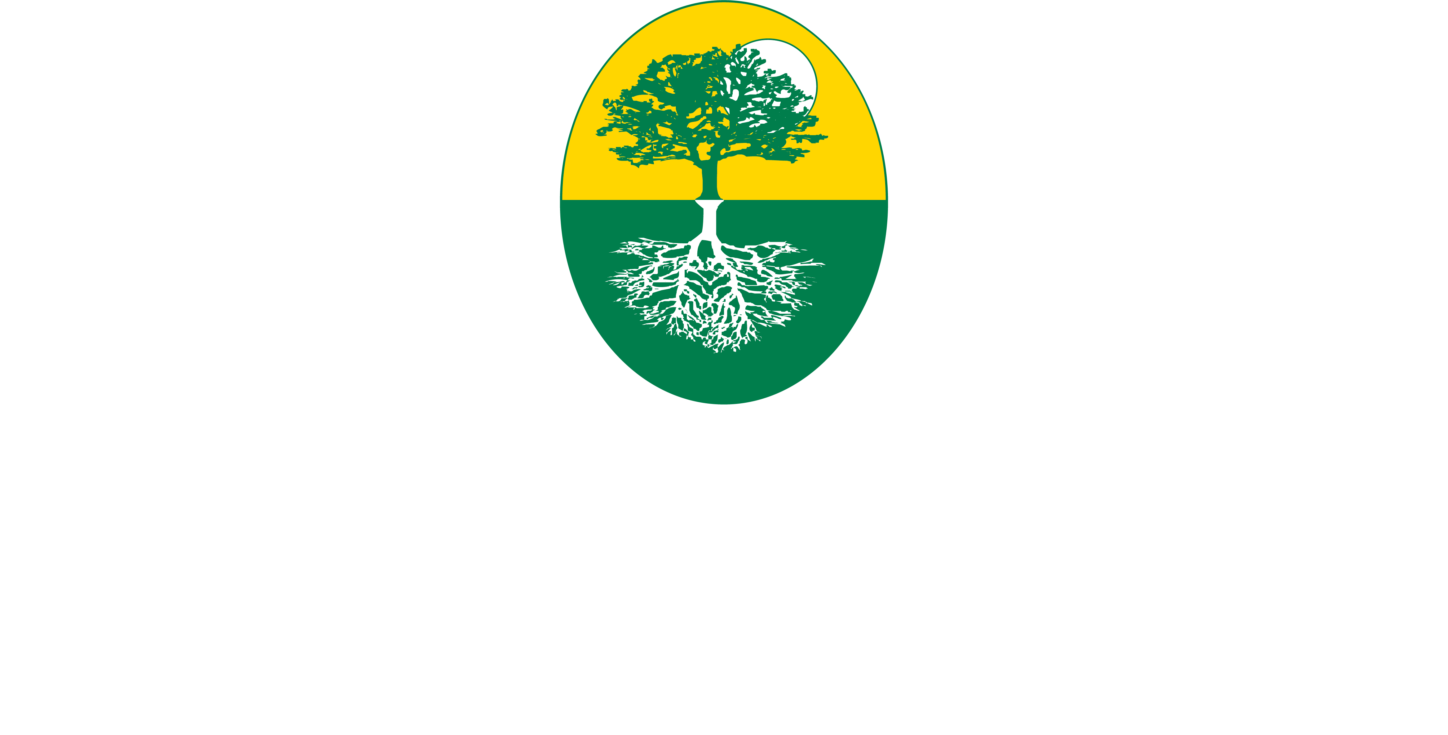 Regenesys Business School